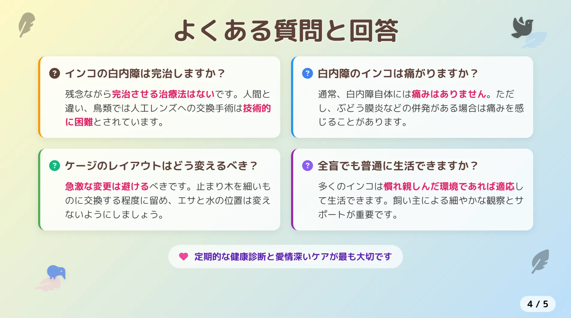 インコの白内障によくある質問
