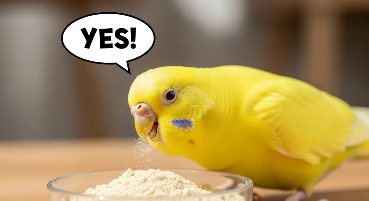 セキセイインコが快適にペレットを食べる様子。適切な粒サイズで喉詰まりなく食事する画像