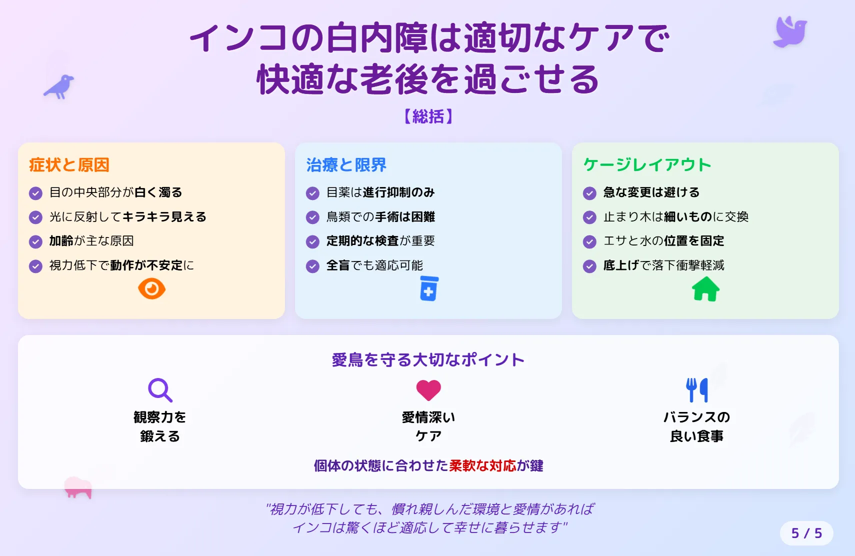 インコの白内障まとめ
