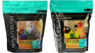 ラウディブッシュ