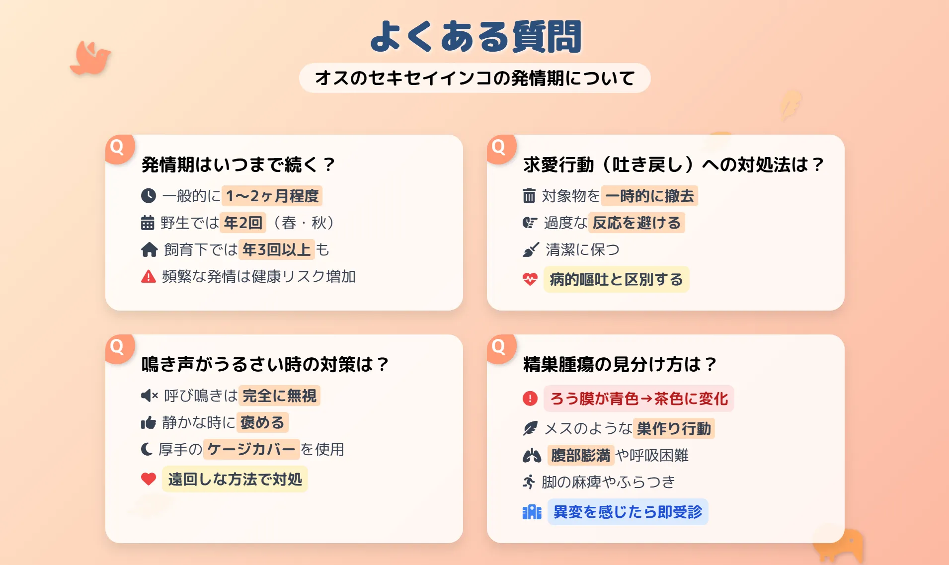 オスのセキセイインコの発情期によくある質問