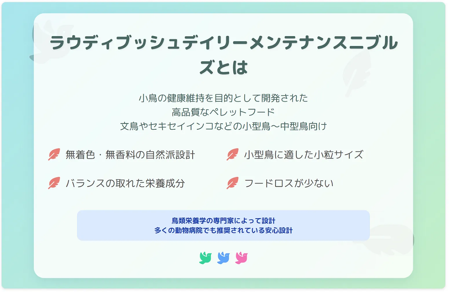 ラウディブッシュデイリーメンテナンスとは