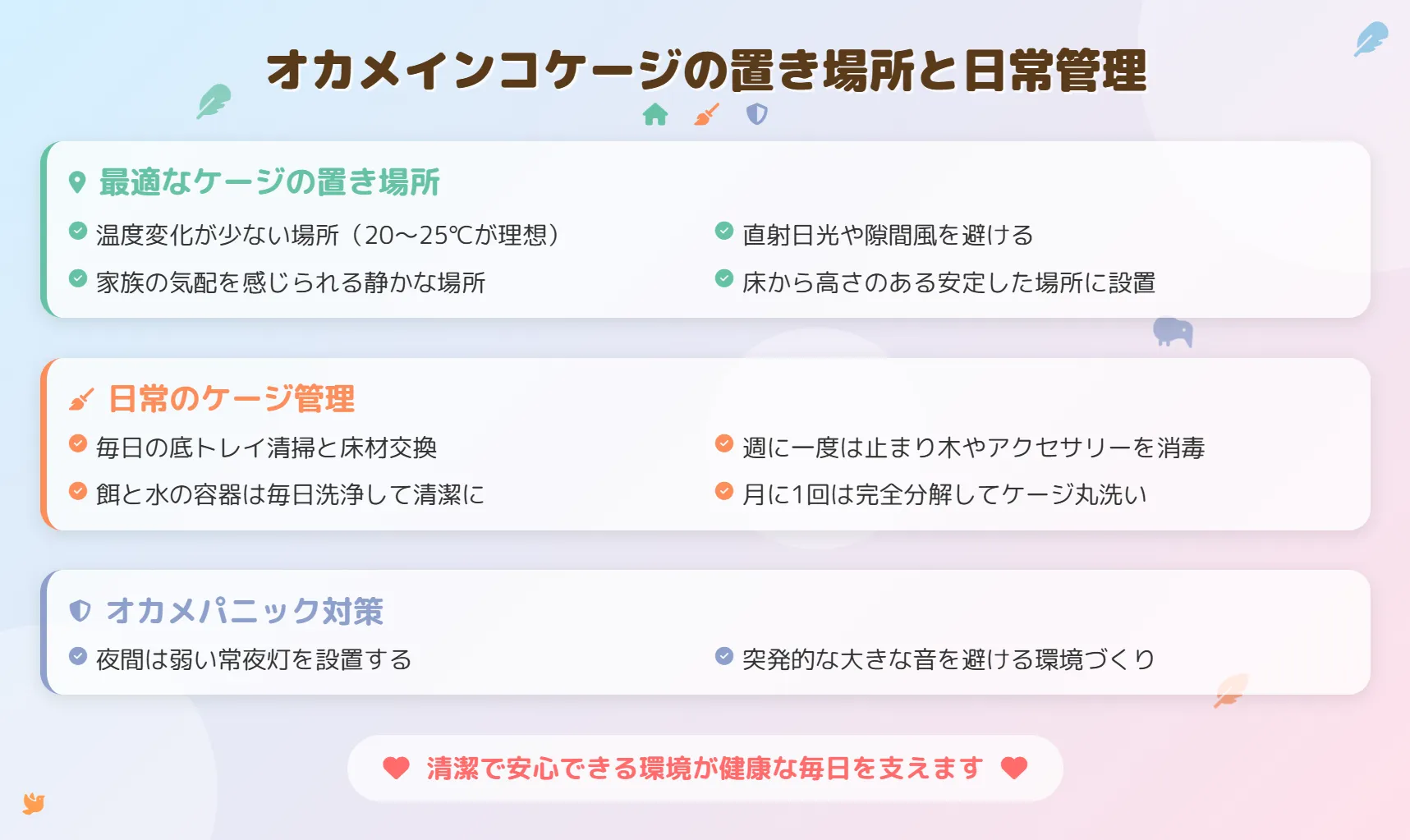 オカメインコケージの置き場所と日常管理