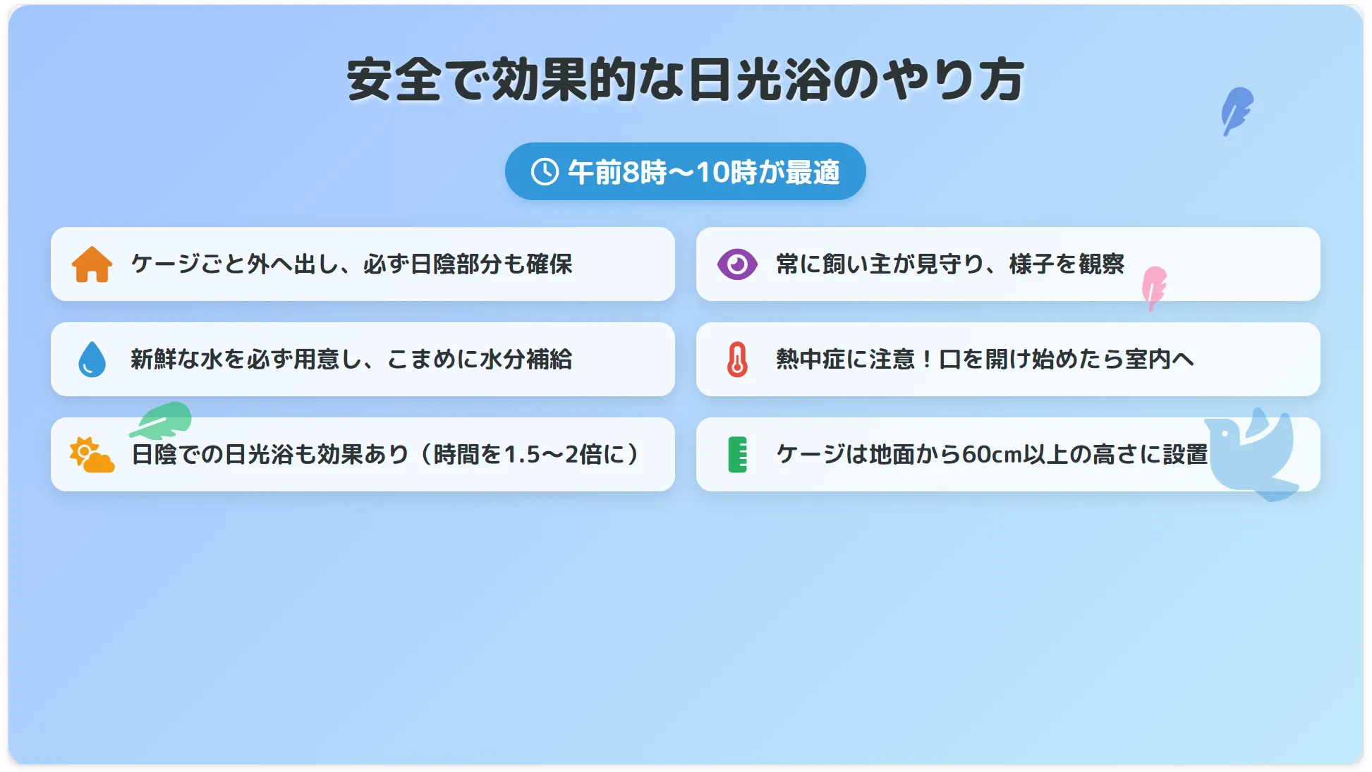 安全で効果的な日光浴のやり方