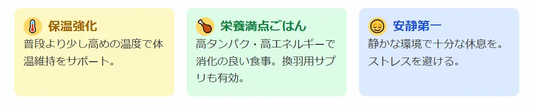 セキセイインコメスの換羽期と発情期が重なったら 