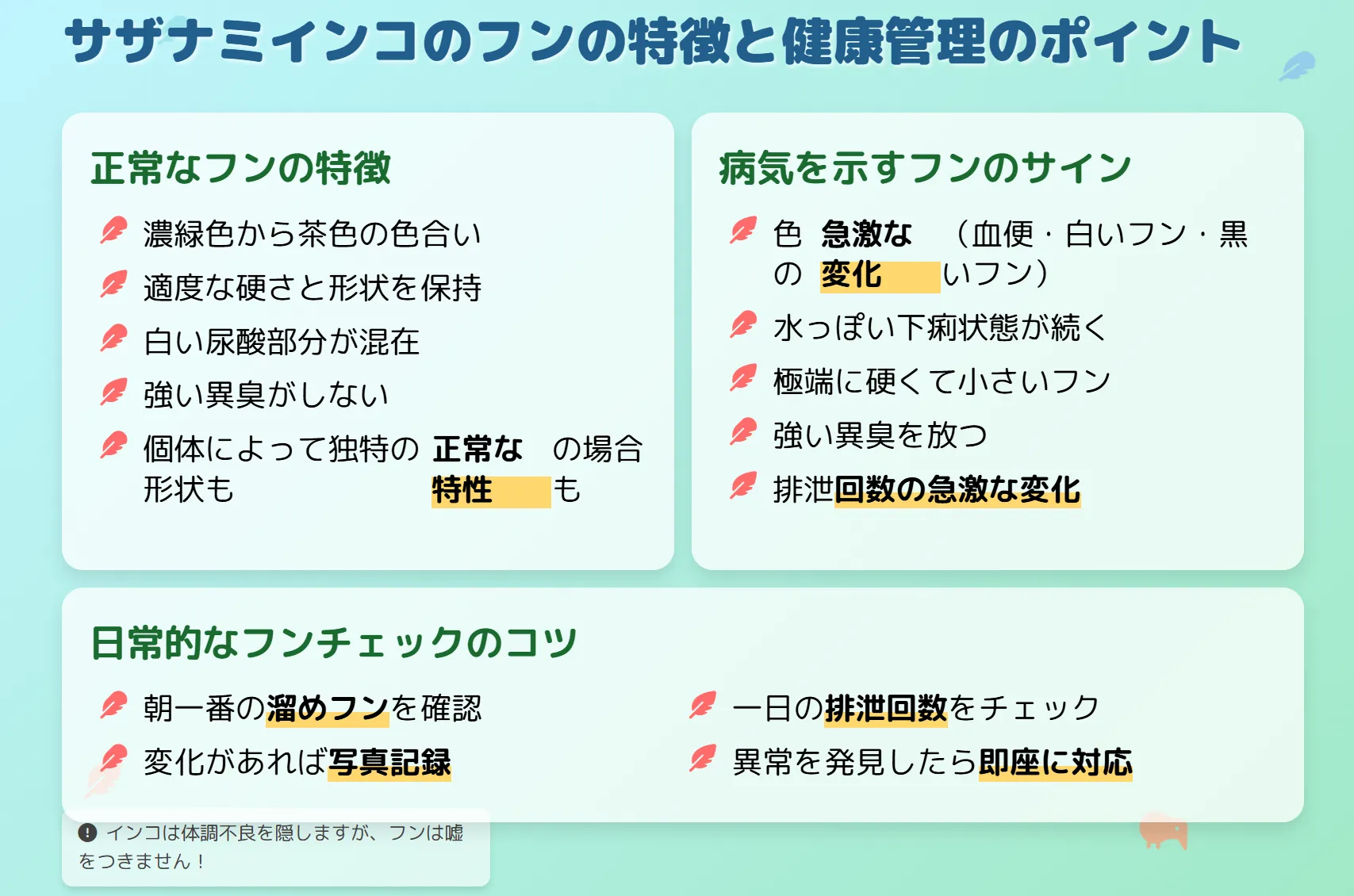 サザナミインコのフンの特徴と健康管理のポイント