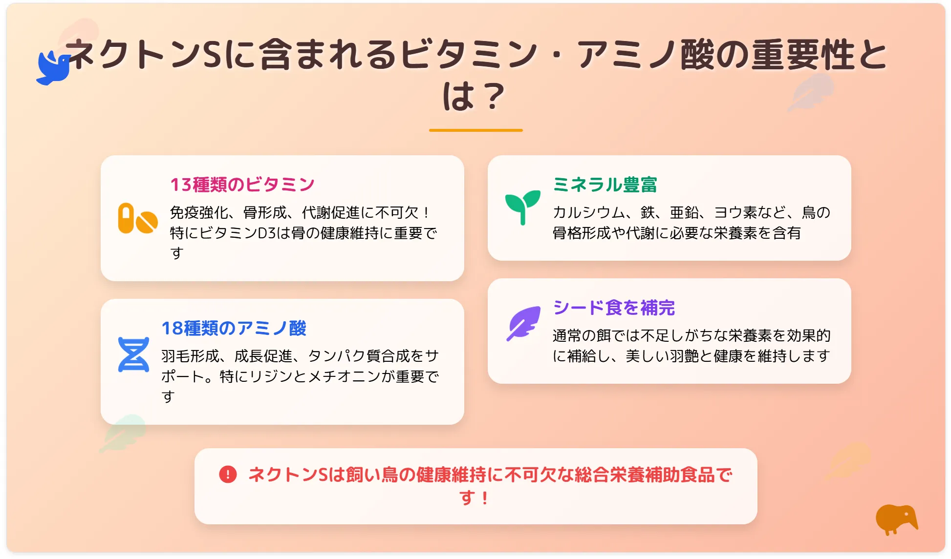 ネクトンsに含まれるビタミン・アミノ酸の重要性