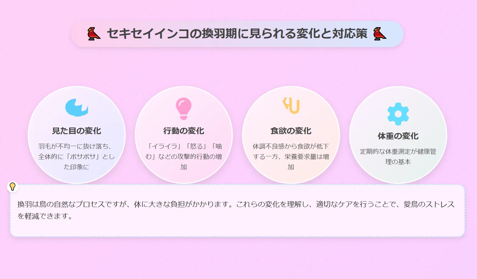 セキセイインコの換羽期に見られる変化と対応策