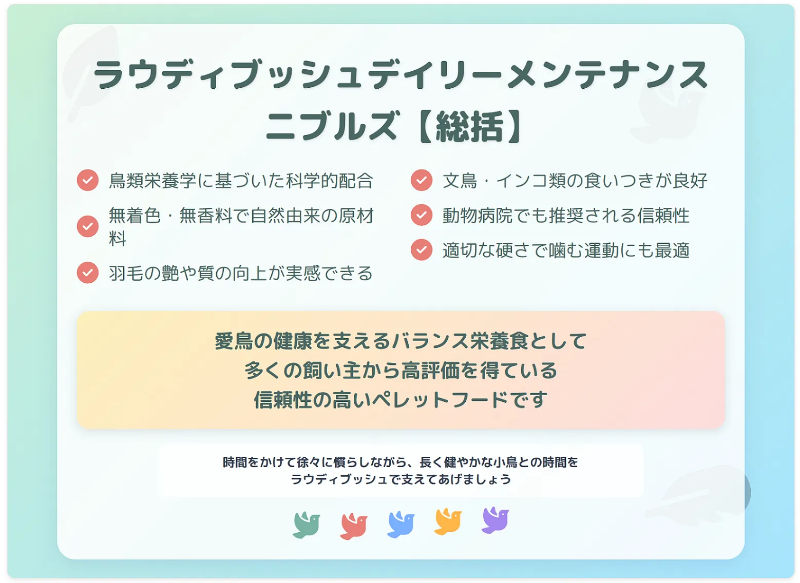 ラウディブッシュデイリーメンテナンスまとめ