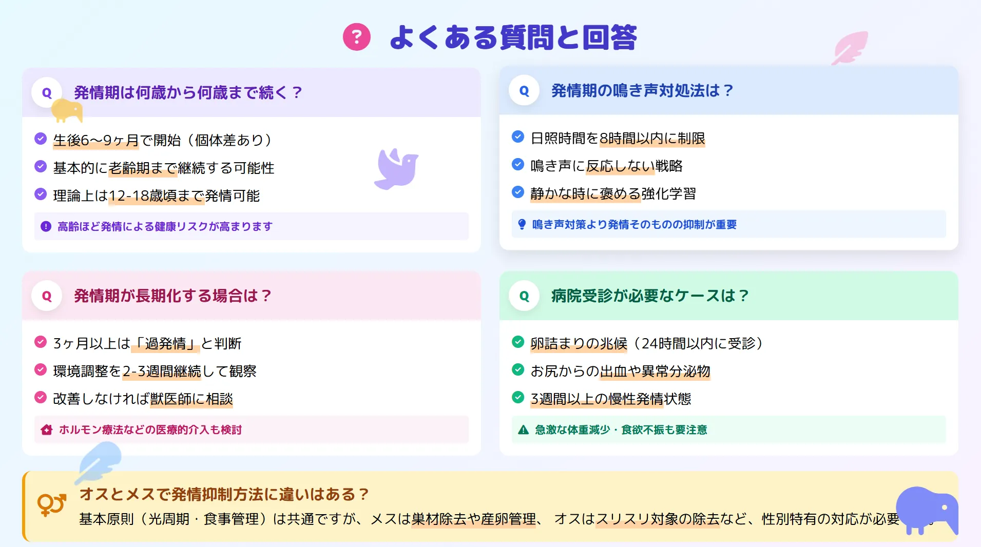 オカメインコの発情期によくある質問