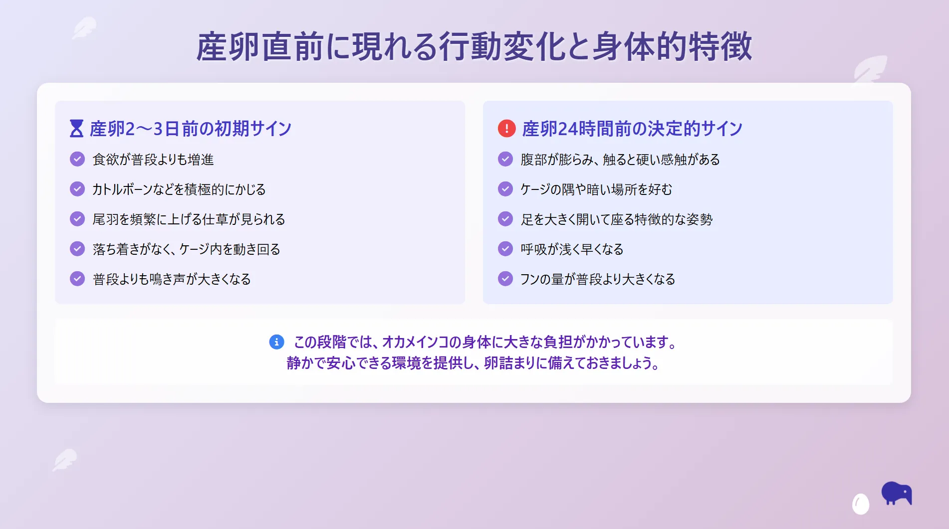 産卵直前に現れる行動変化と身体的特徴