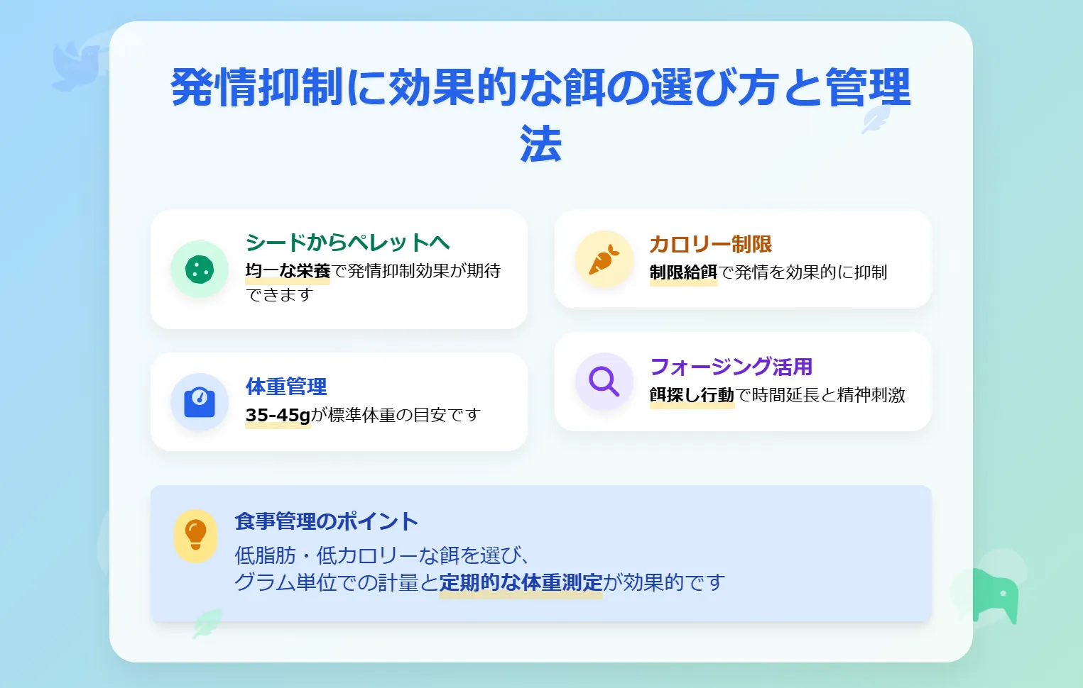 セキセイインコの発情抑制に効果的な餌の選び方と管理法