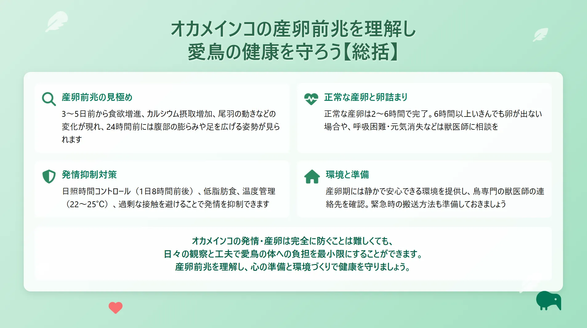 オカメインコの産卵前兆と発情抑制まとめ