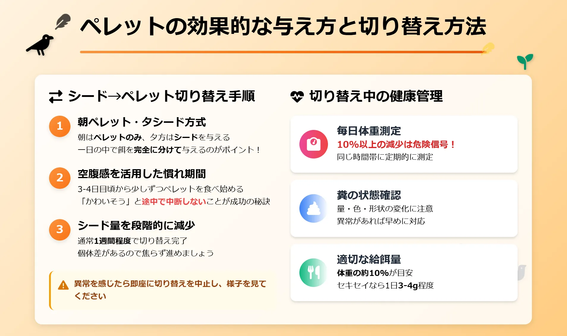 ペレットの効果的な与え方と切り替え方法