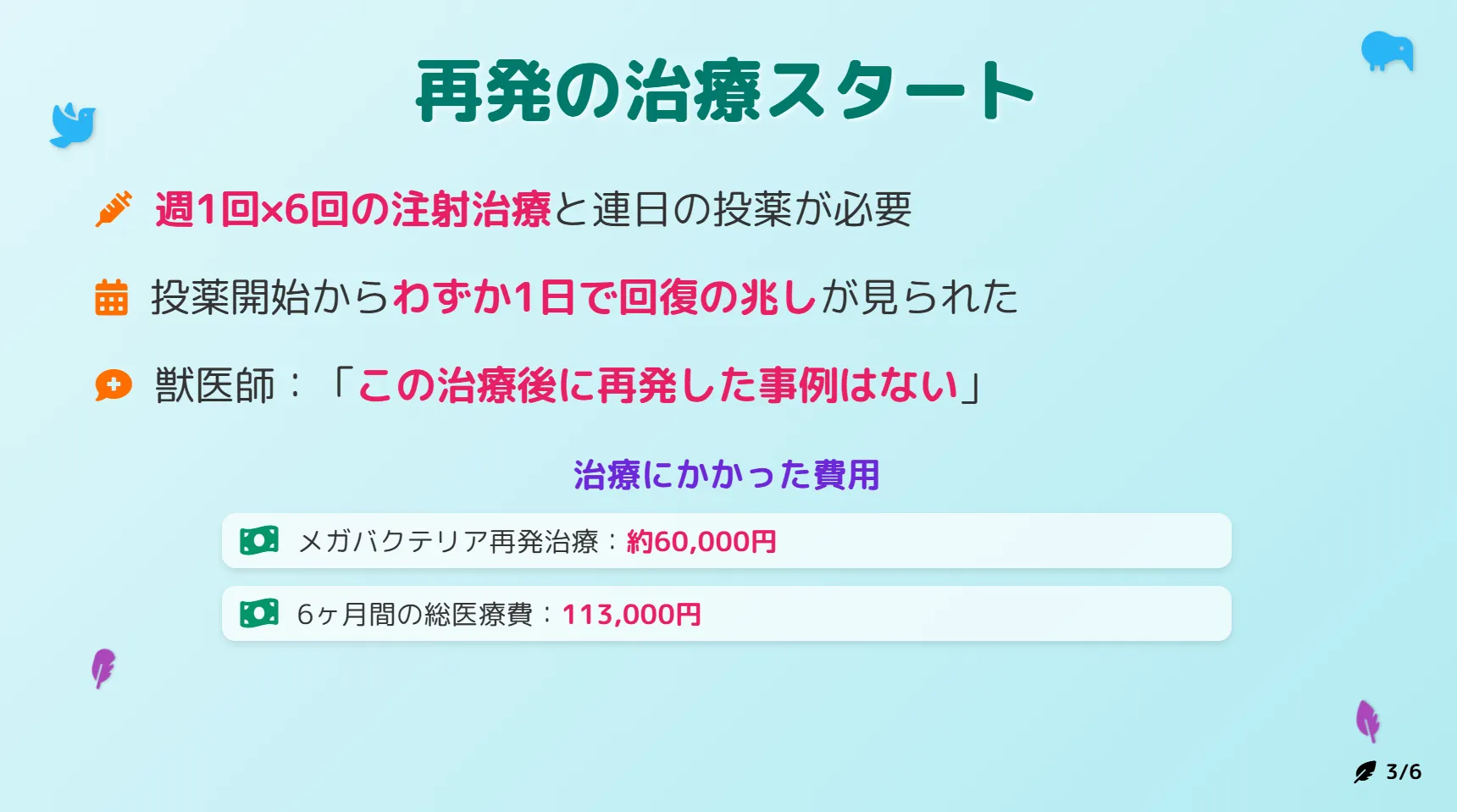 メガバクテリア再発治療