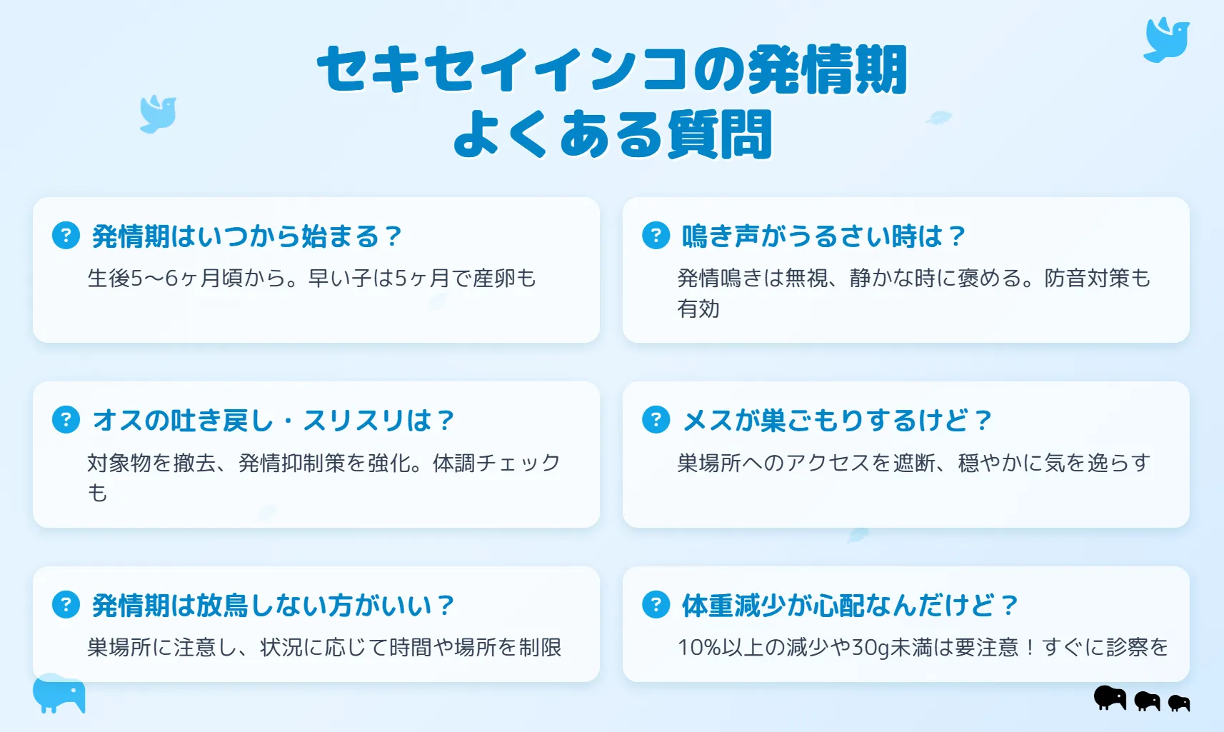 セキセイインコの発情期によくある質問