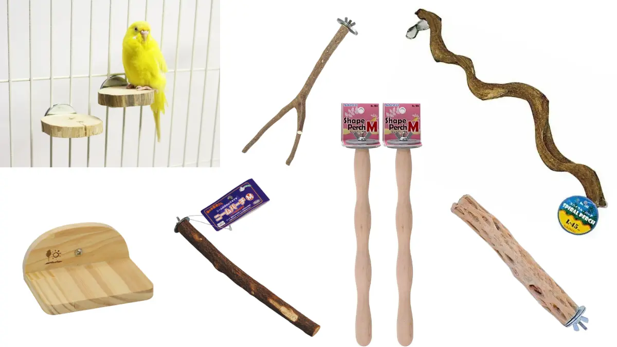 Amazon・楽天で購入できる人気の自然木止まり木7選。ニームパーチ、Y字型、フラットパーチなど特徴的な商品が並ぶ