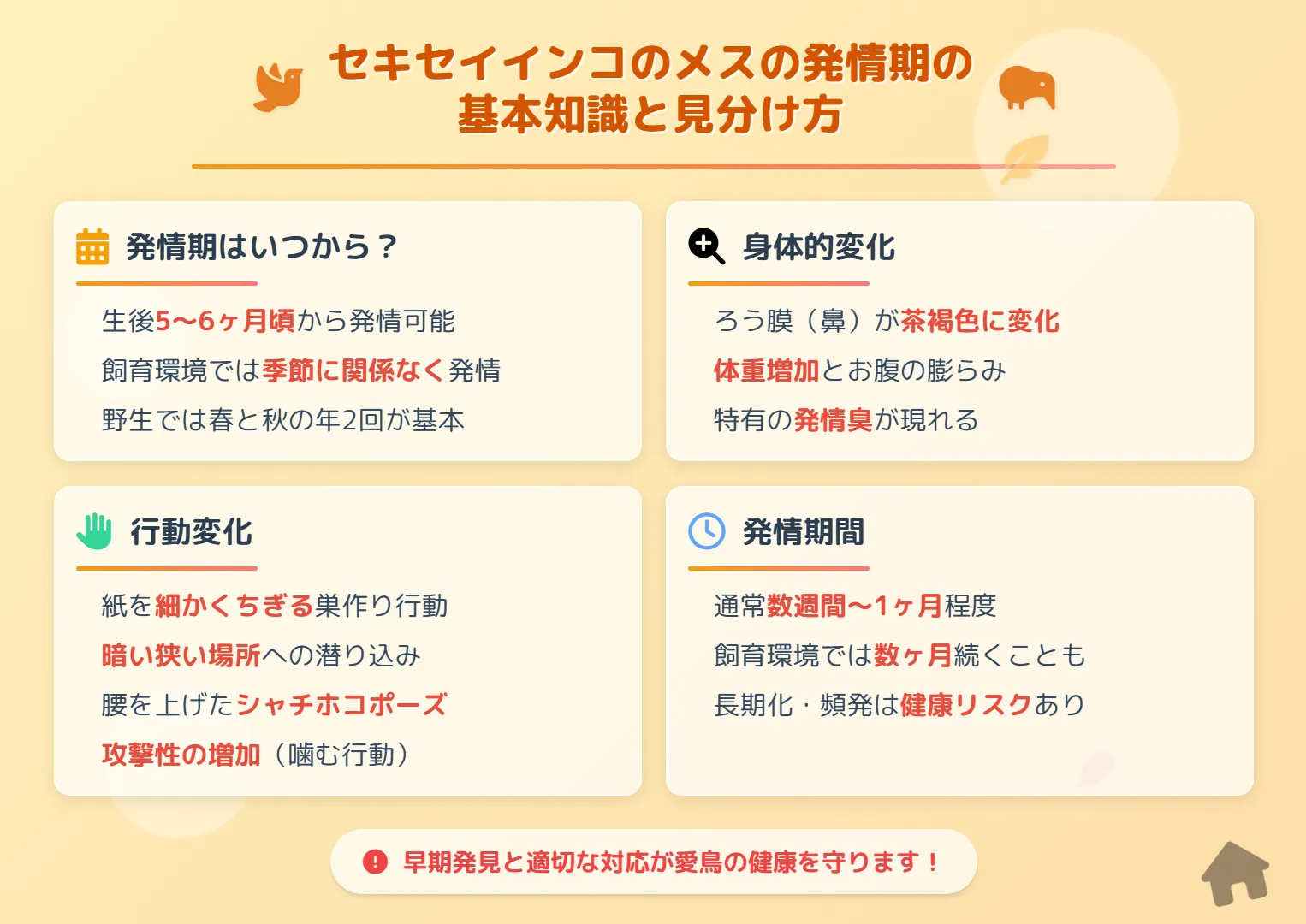 セキセイインコのメスの発情期の基本知識と見分け方