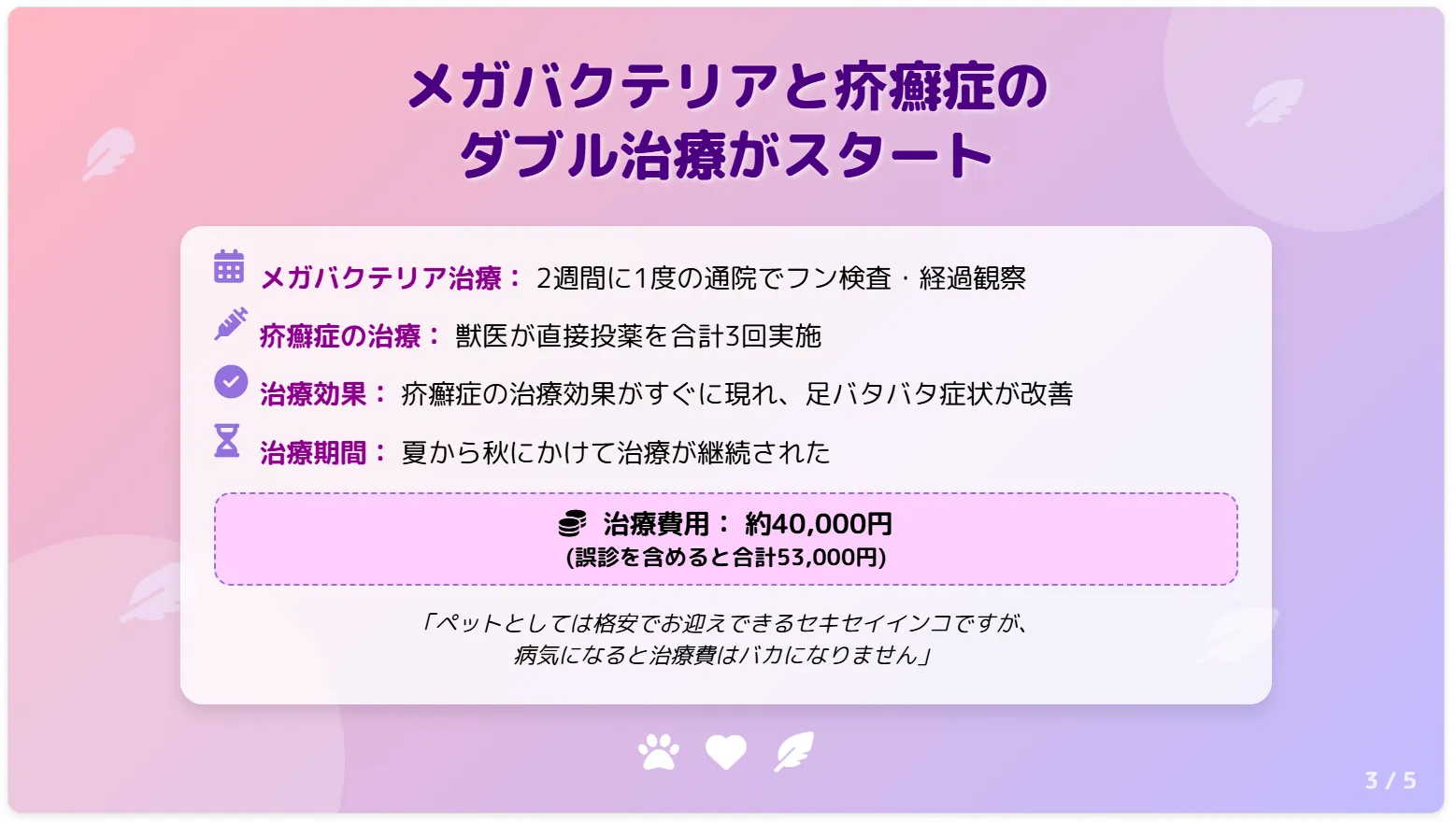 メガバクテリアと疥癬症のダブル治療