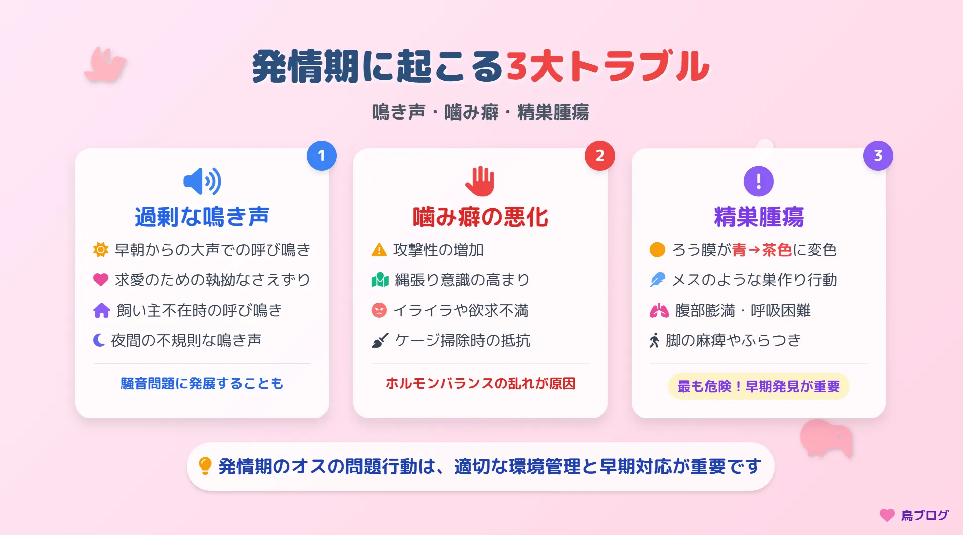 セキセイインコの発情期に起こる3大トラブル