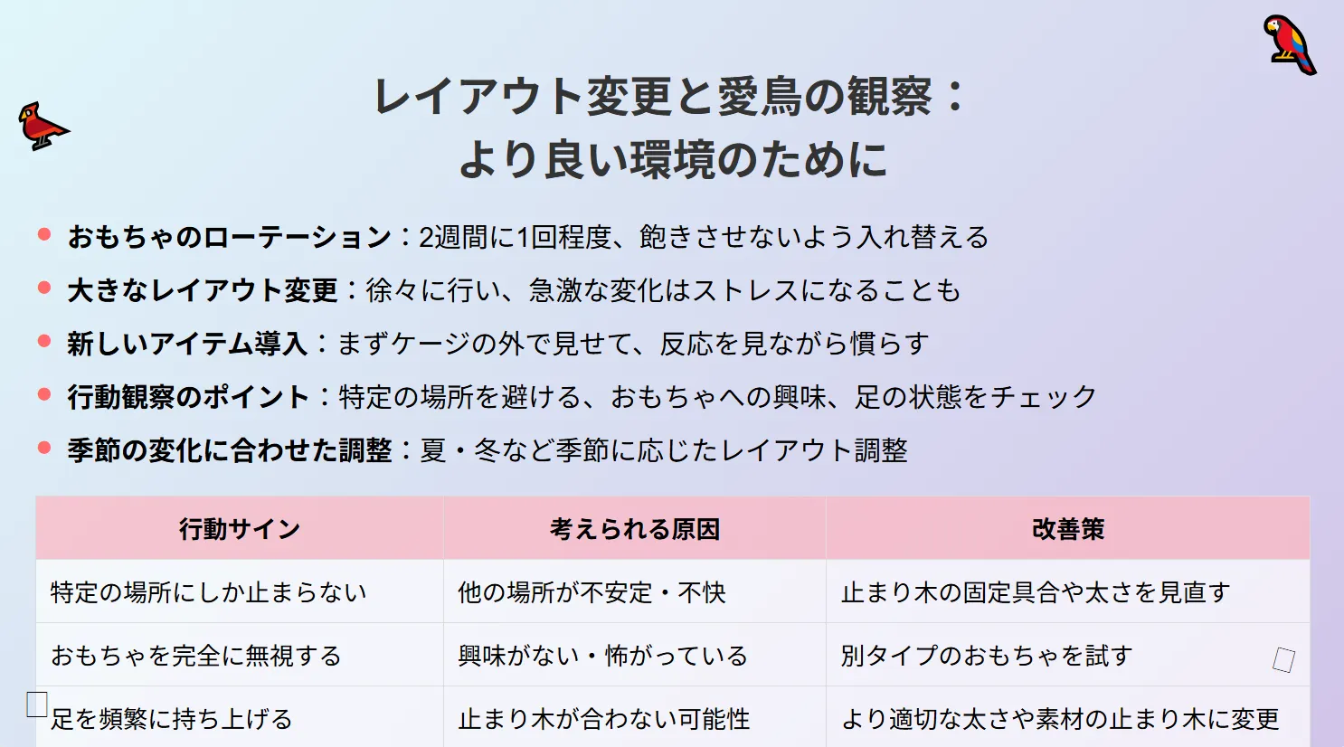 オカメインコのケージレイアウト変更と観察