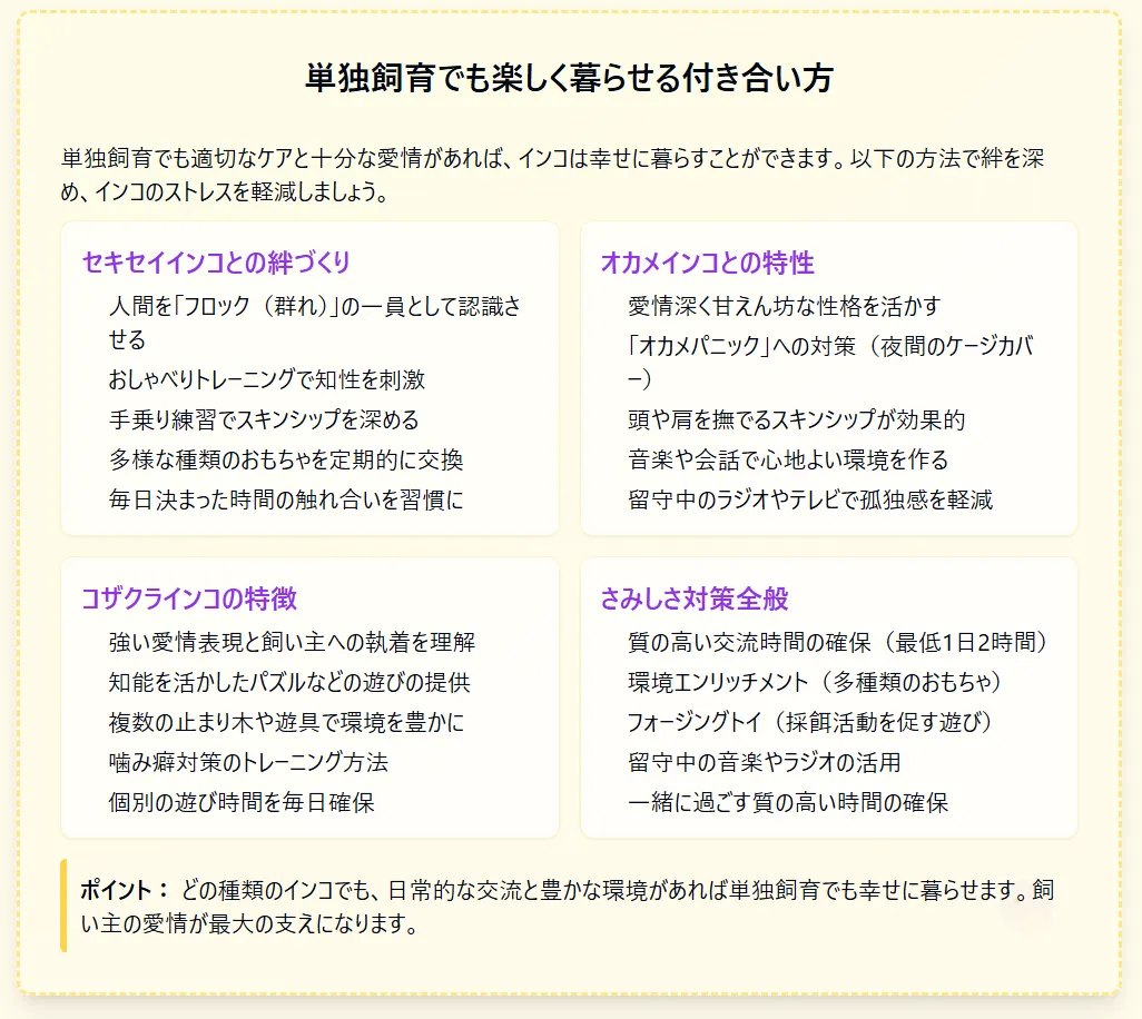 単独飼育でも楽しく暮らせる付き合い方