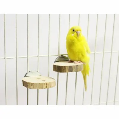 ジャワツリーステップパーチの商品画像。東南アジア原産の超硬質木材で耐久性抜群、複雑な枝ぶりでアスレチック要素も