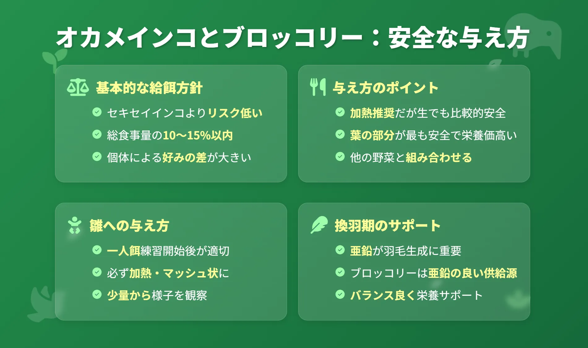 オカメインコへのブロッコリーの与え方
