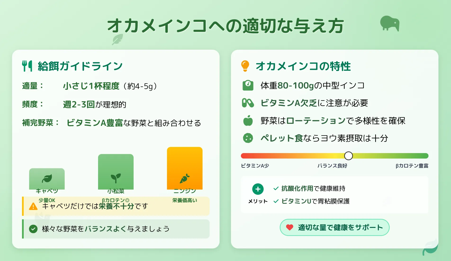 オカメインコへのキャベツの与え方