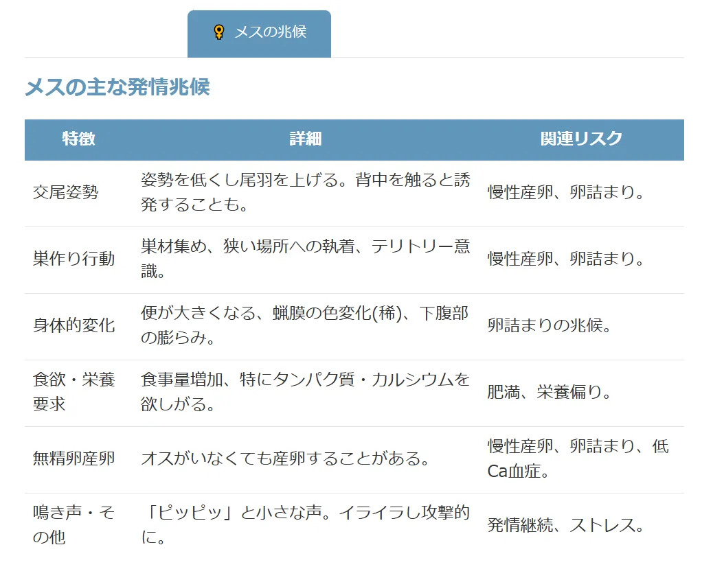 メスの発情兆候