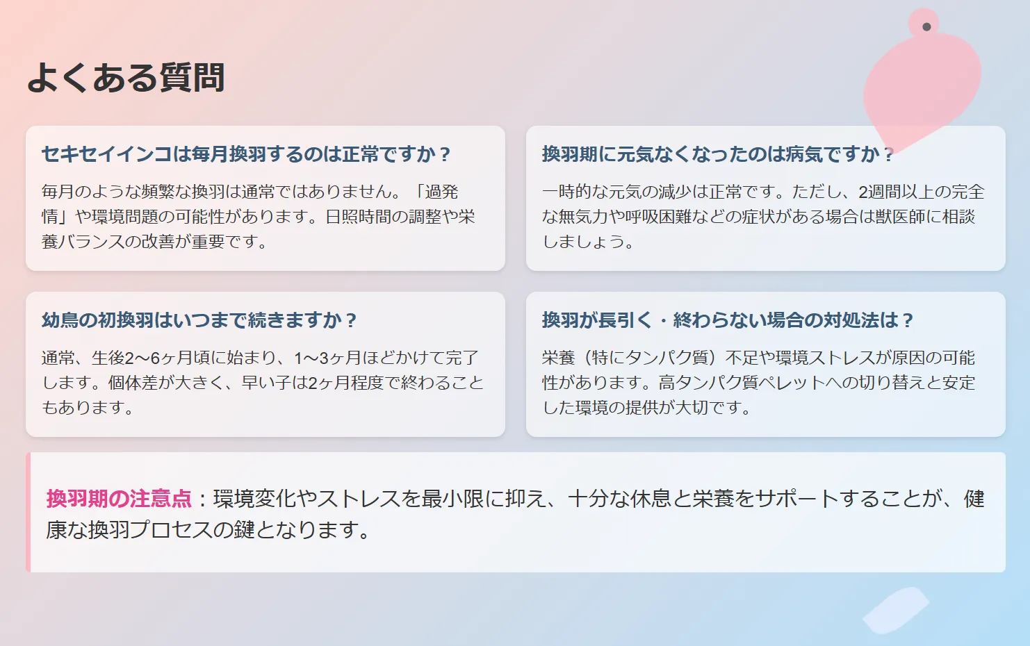 セキセイインコの換羽期によくある質問