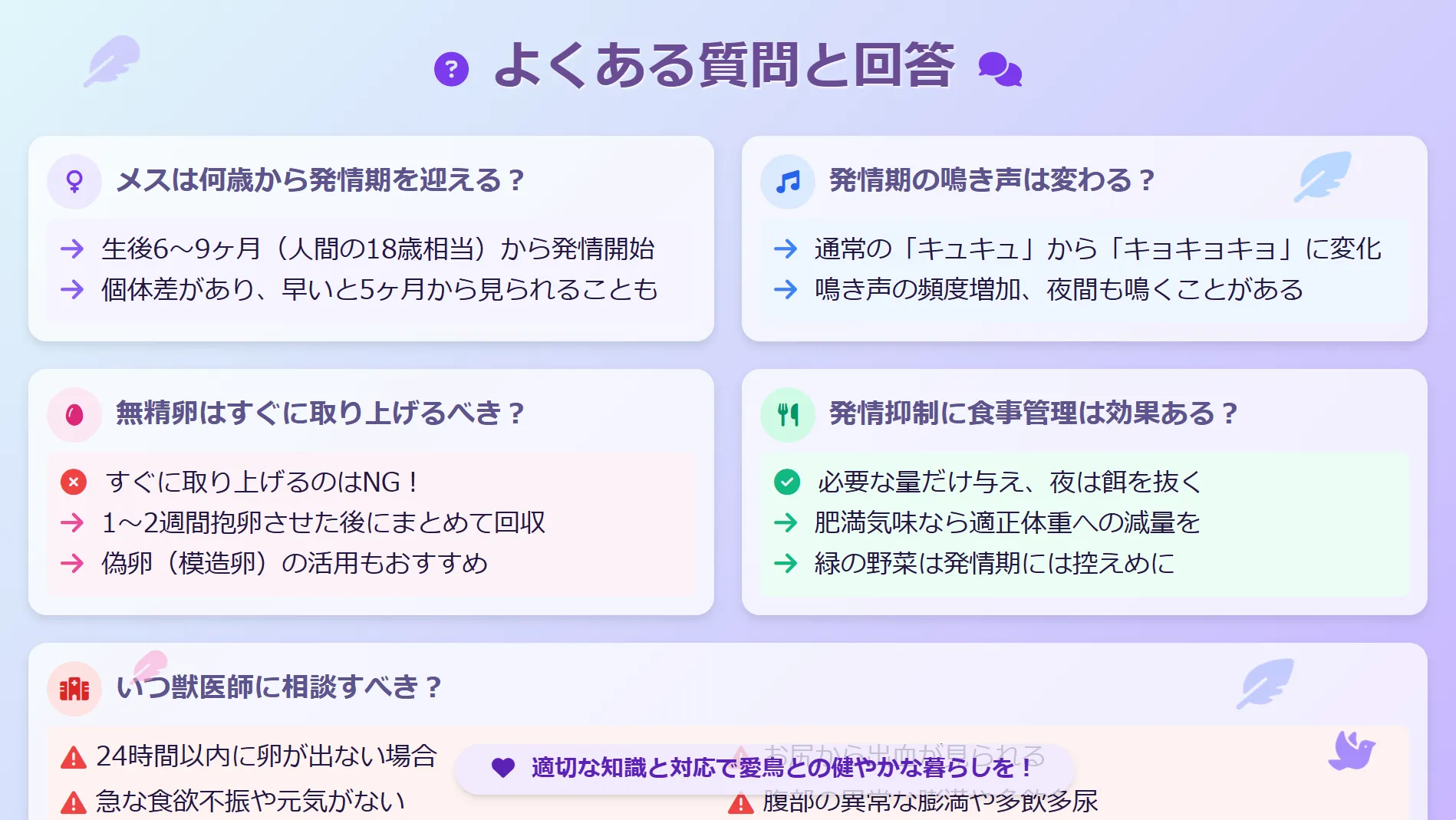 オカメインコのメスの発情期によくある質問