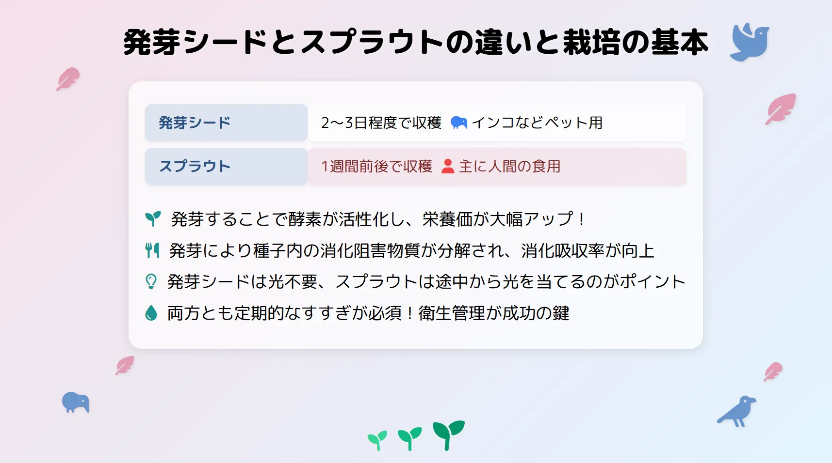 発芽シードとスプラウトの違いと栽培の基本