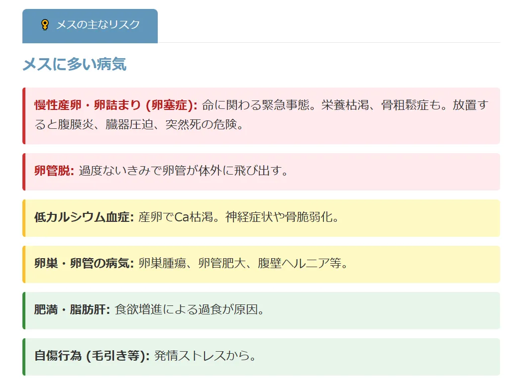 メスの健康リスク