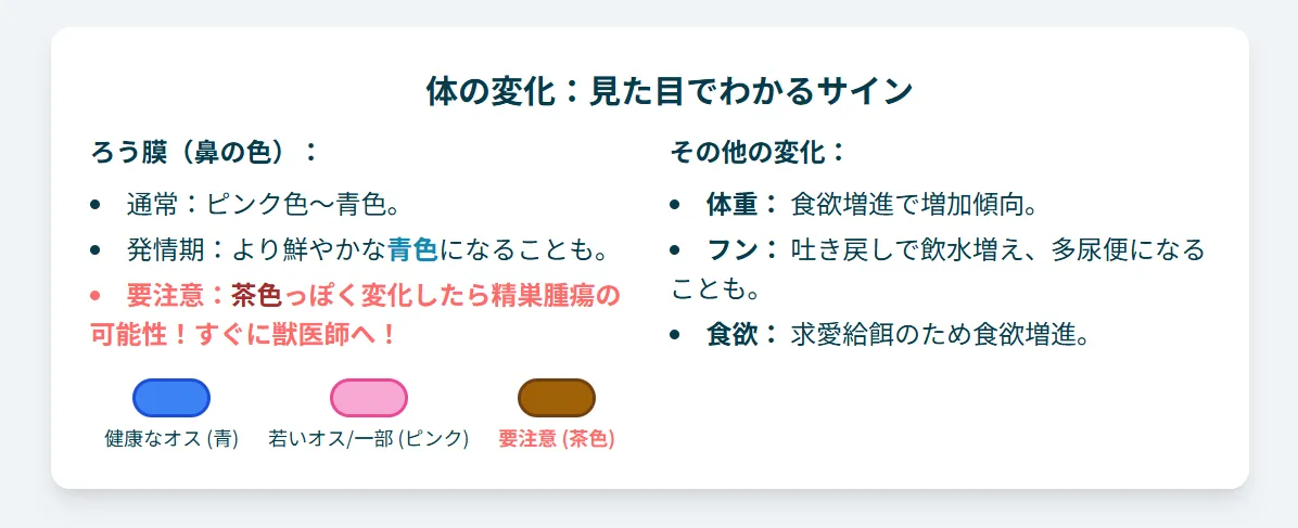 セキセイインコオスの発情サイン