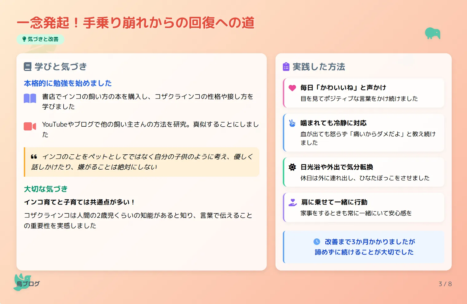 コザクラインコの手乗り崩れ回復の道