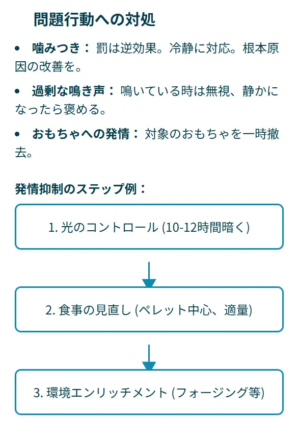 セキセイインコオスの問題行動への対処