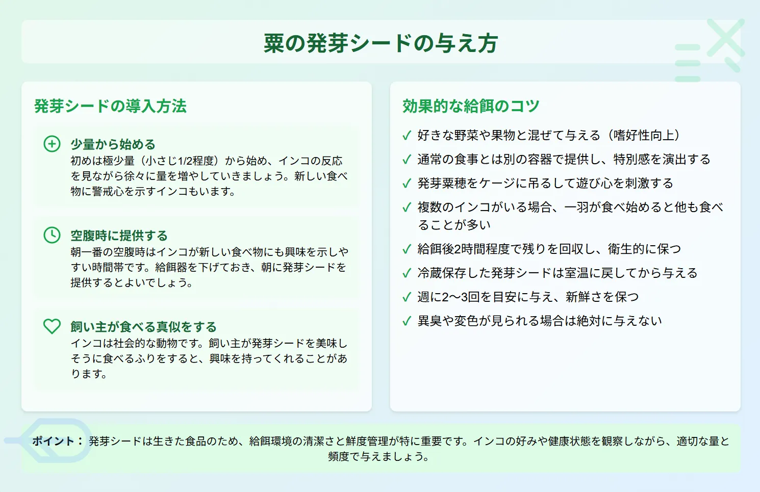 粟の発芽シードの与え方