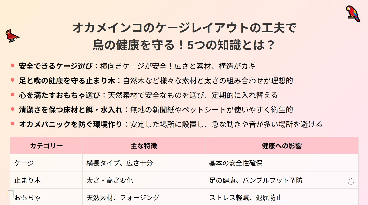 オカメインコのケージレイアウト5つの秘訣