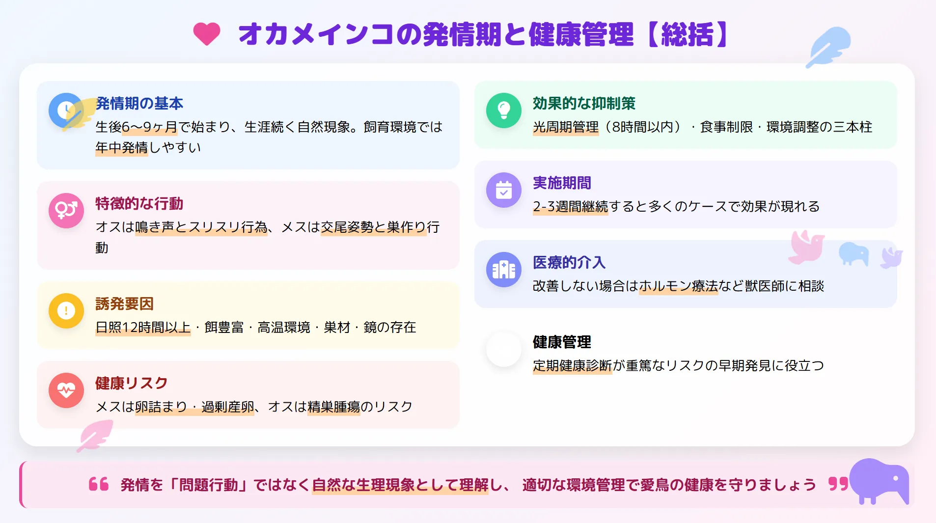 オカメインコの発情期と健康管理まとめ