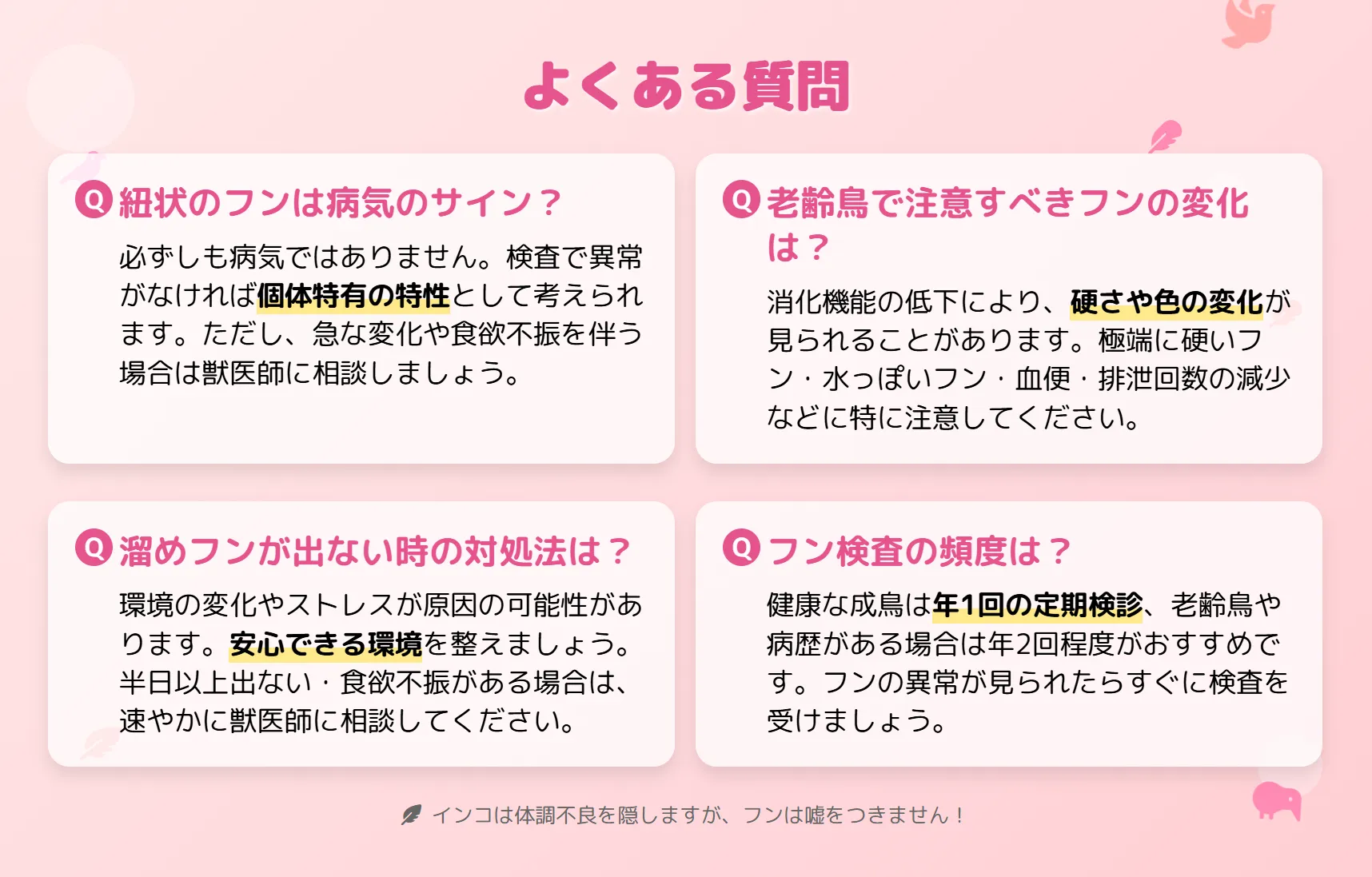 インコのフンによくある質問
