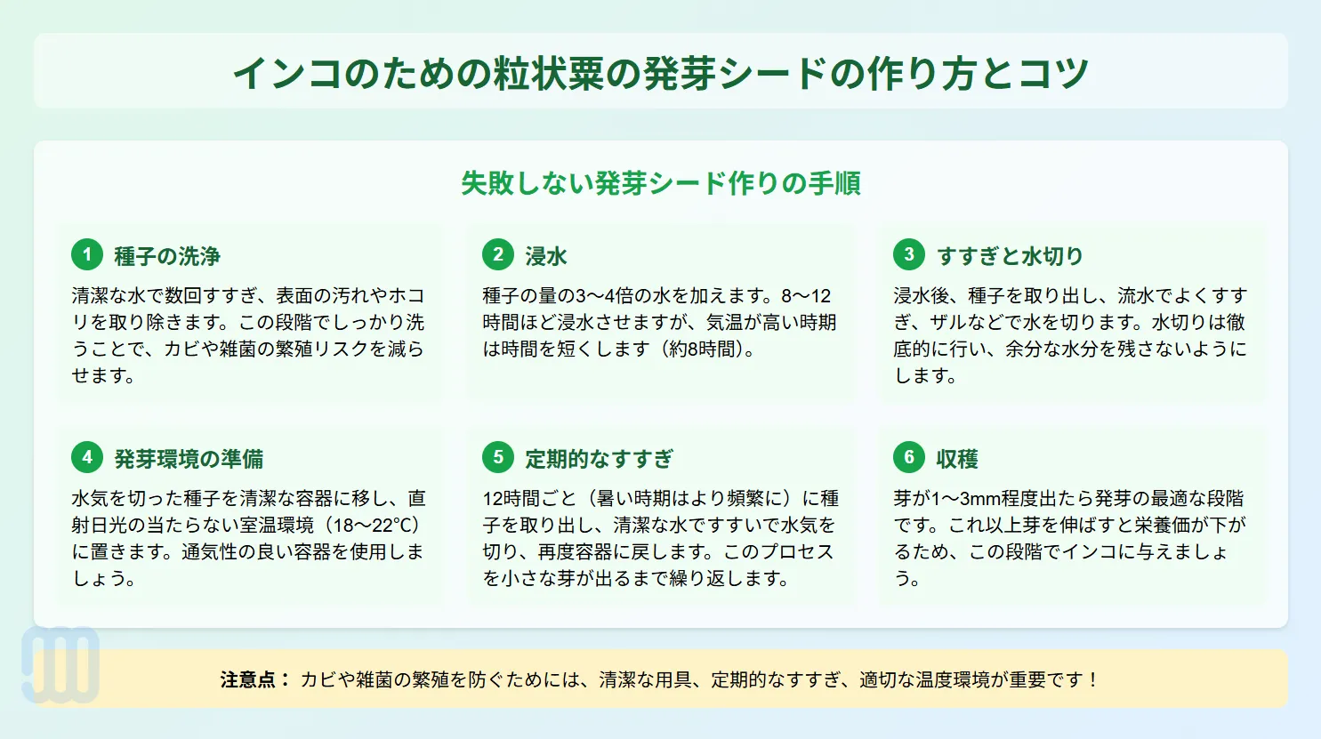 粒状粟の発芽シードの作り方