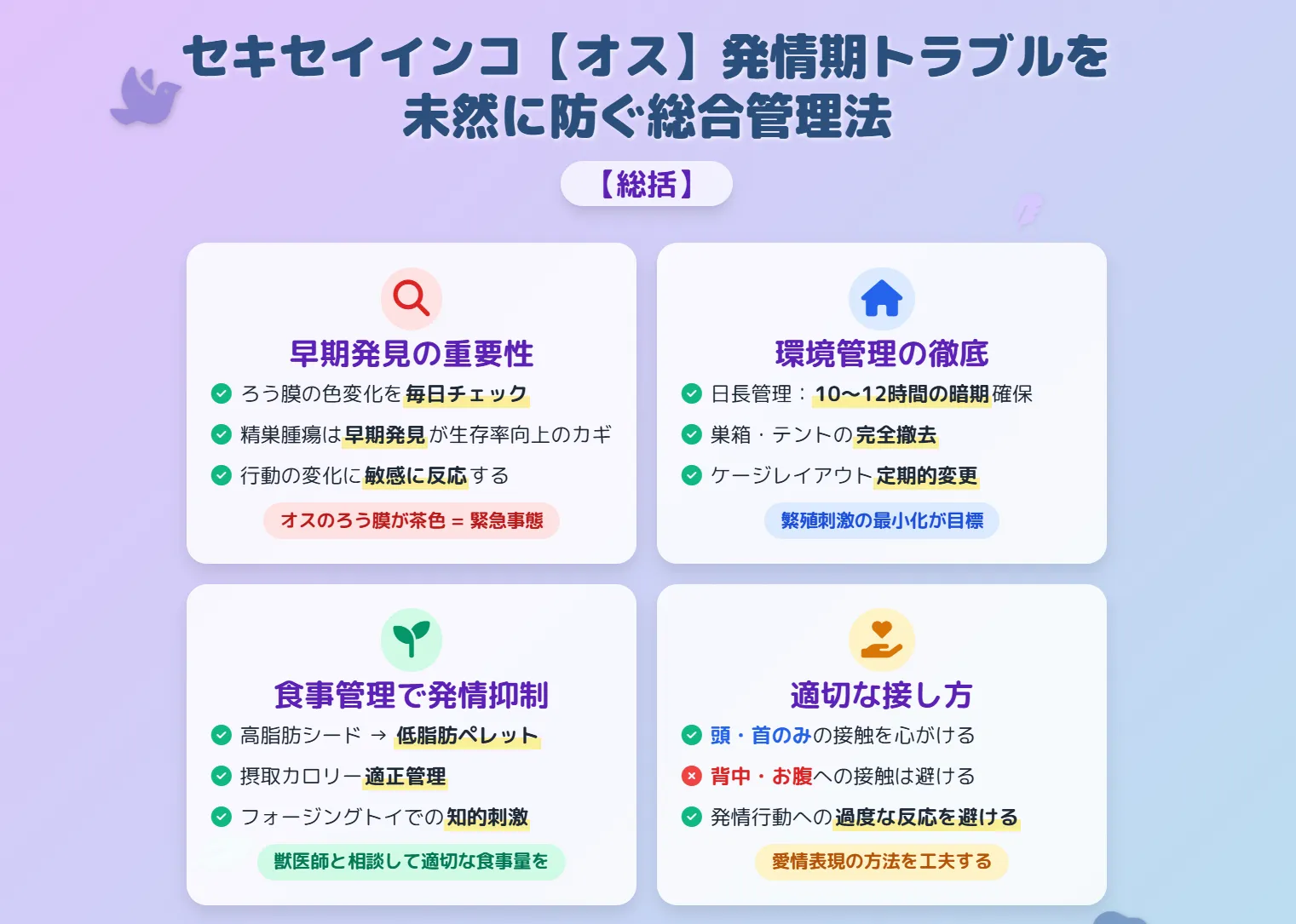 オスのセキセイインコの発情期トラブル対策まとめ