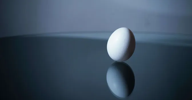 コザクラインコの発情抑制