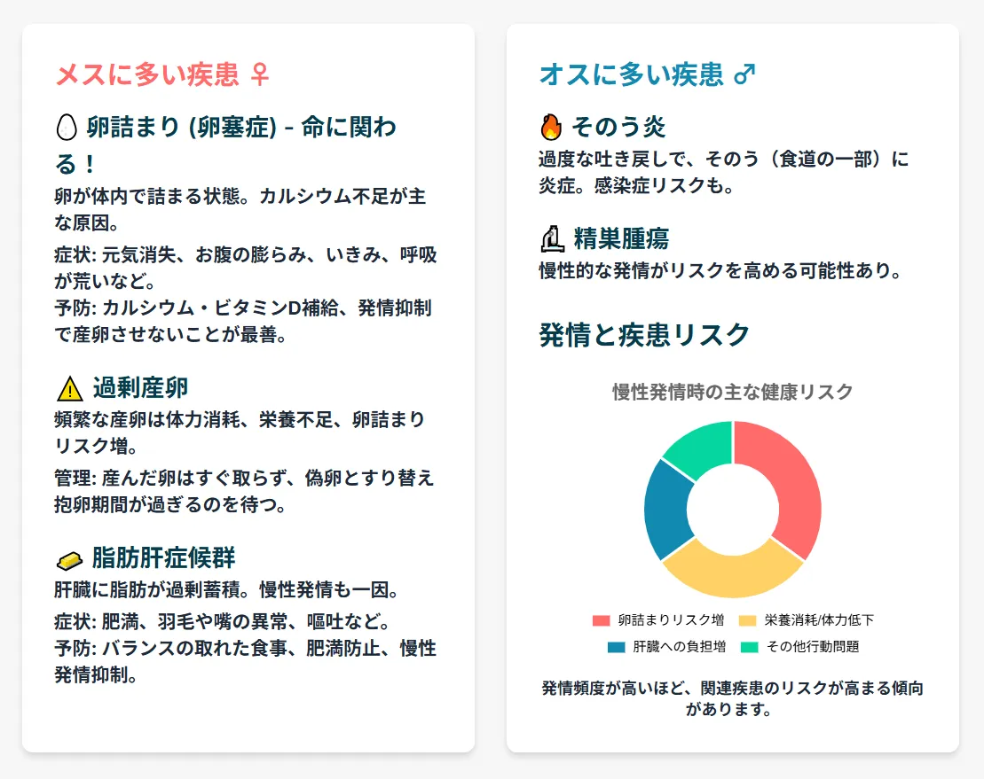 コザクラインコの発情に関連する健康リスク