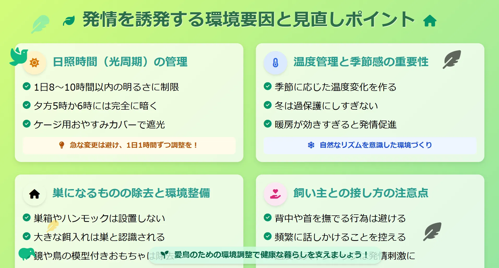 オカメインコのメスの発情を誘引する環境要因と見直しポイント