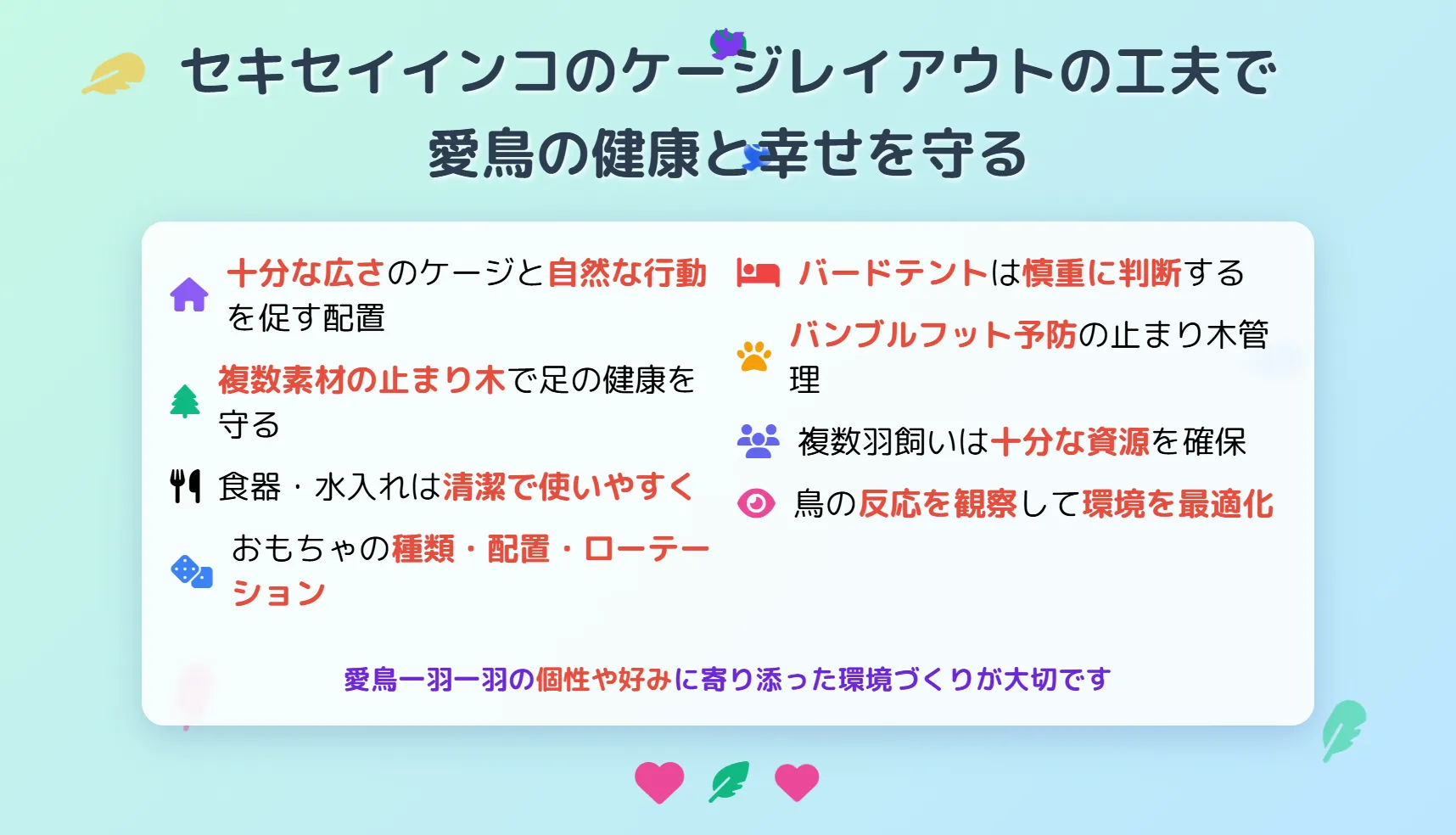 セキセイインコケージレイアウトまとめ