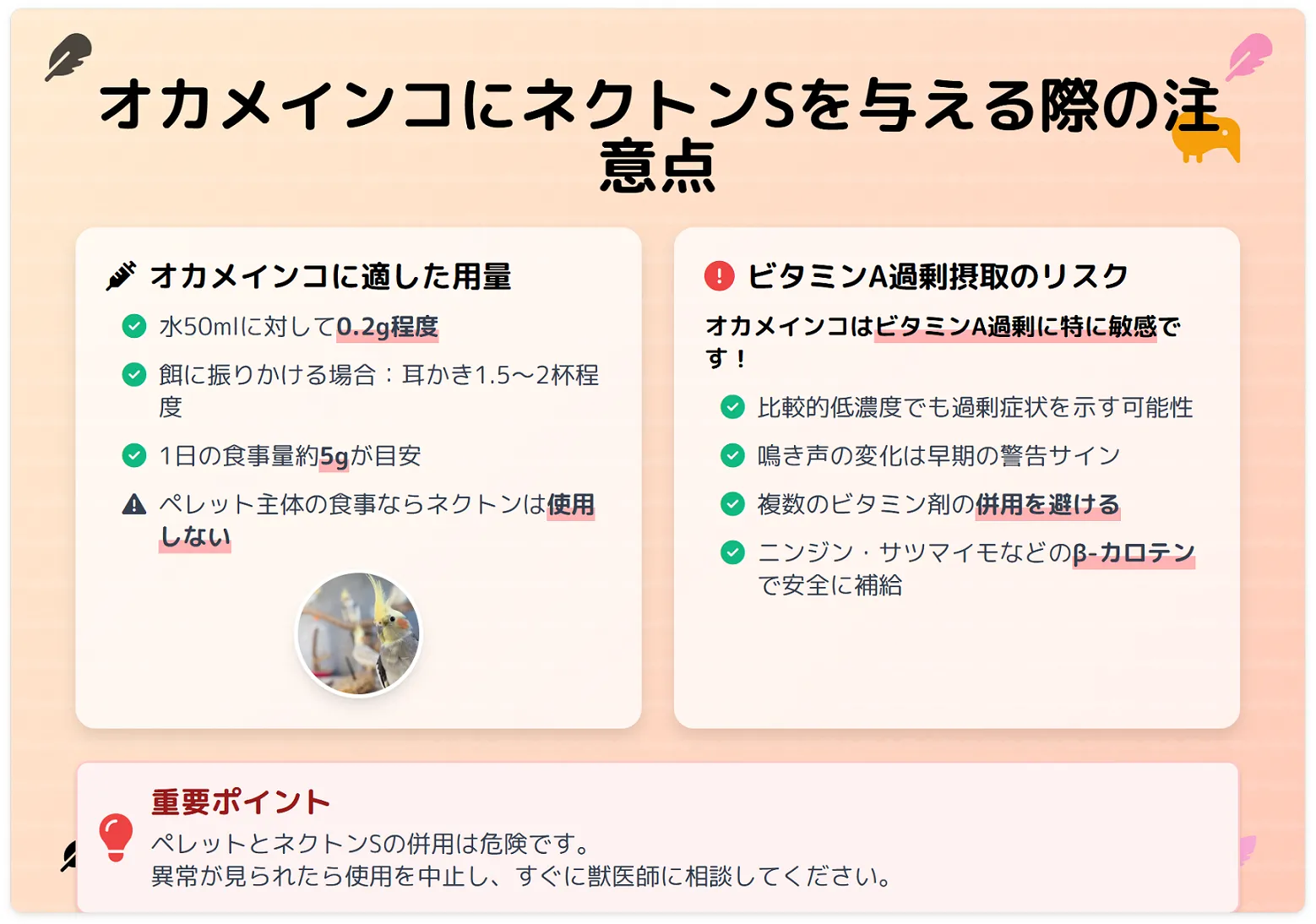 オカメインコのネクトンsの与え方