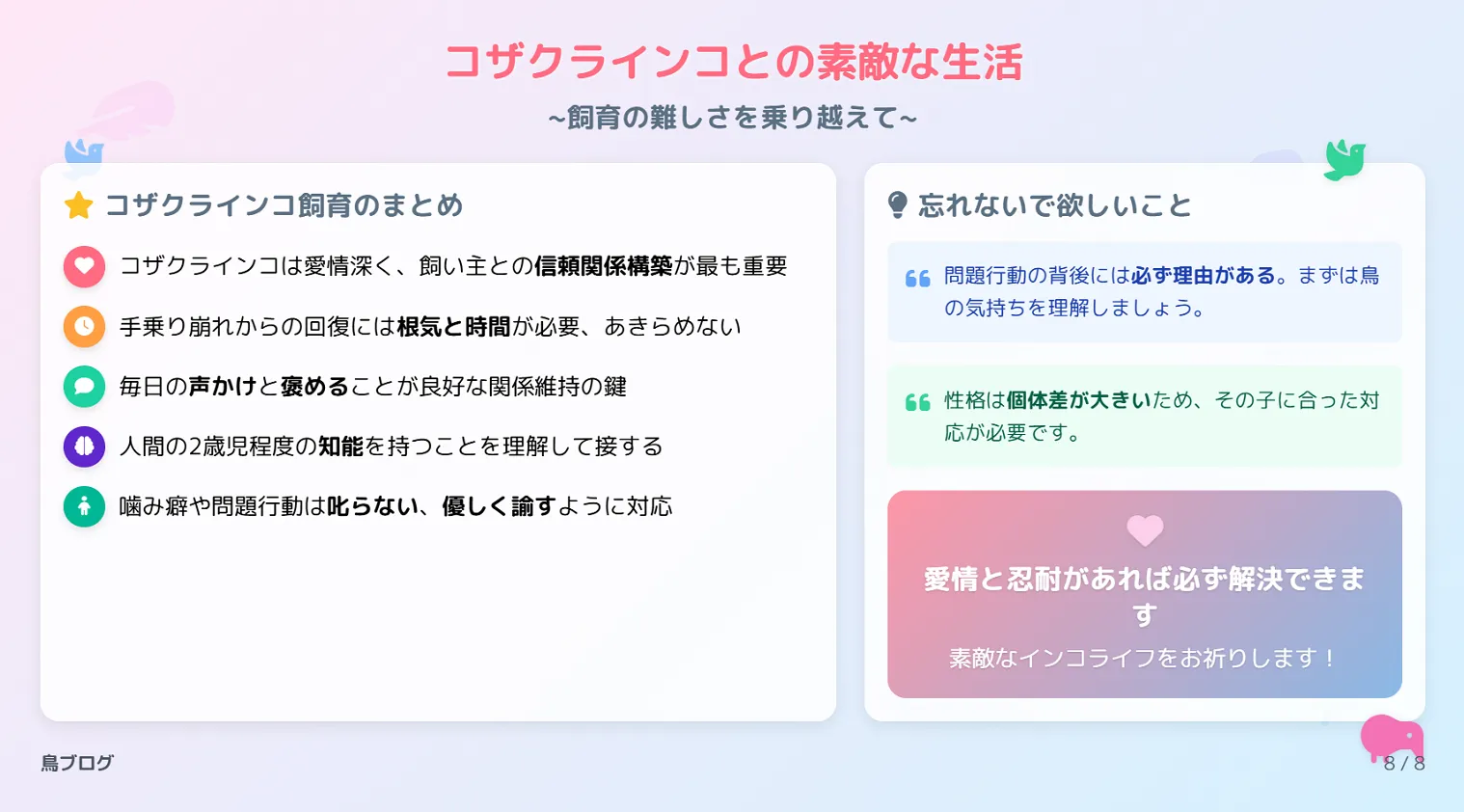 コザクラインコ飼育まとめ