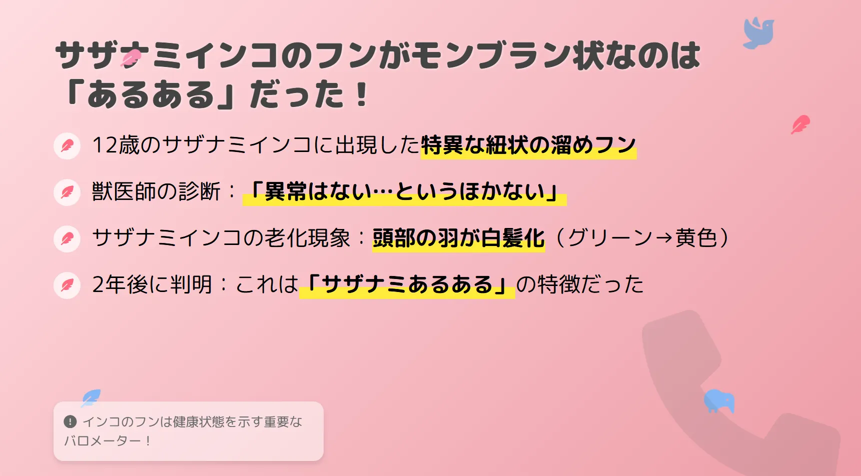 サザナミインコのフンがモンブラン状なのはあるあるだった